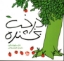 تصویر  درخت بخشنده (خشتی کوچک-شمیز)